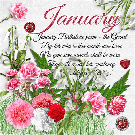 January Birthstones, Colors and Flowers & more .